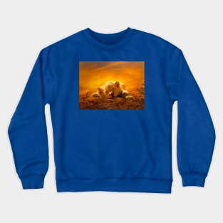 Simba Crewneck Sweatshirt